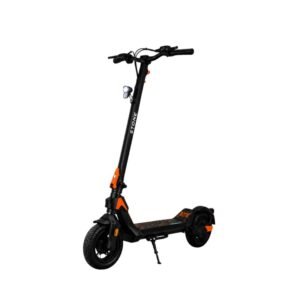 Trottinette électrique Fauve Stone